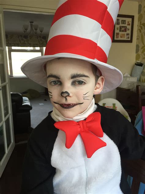 cat in the hat costume